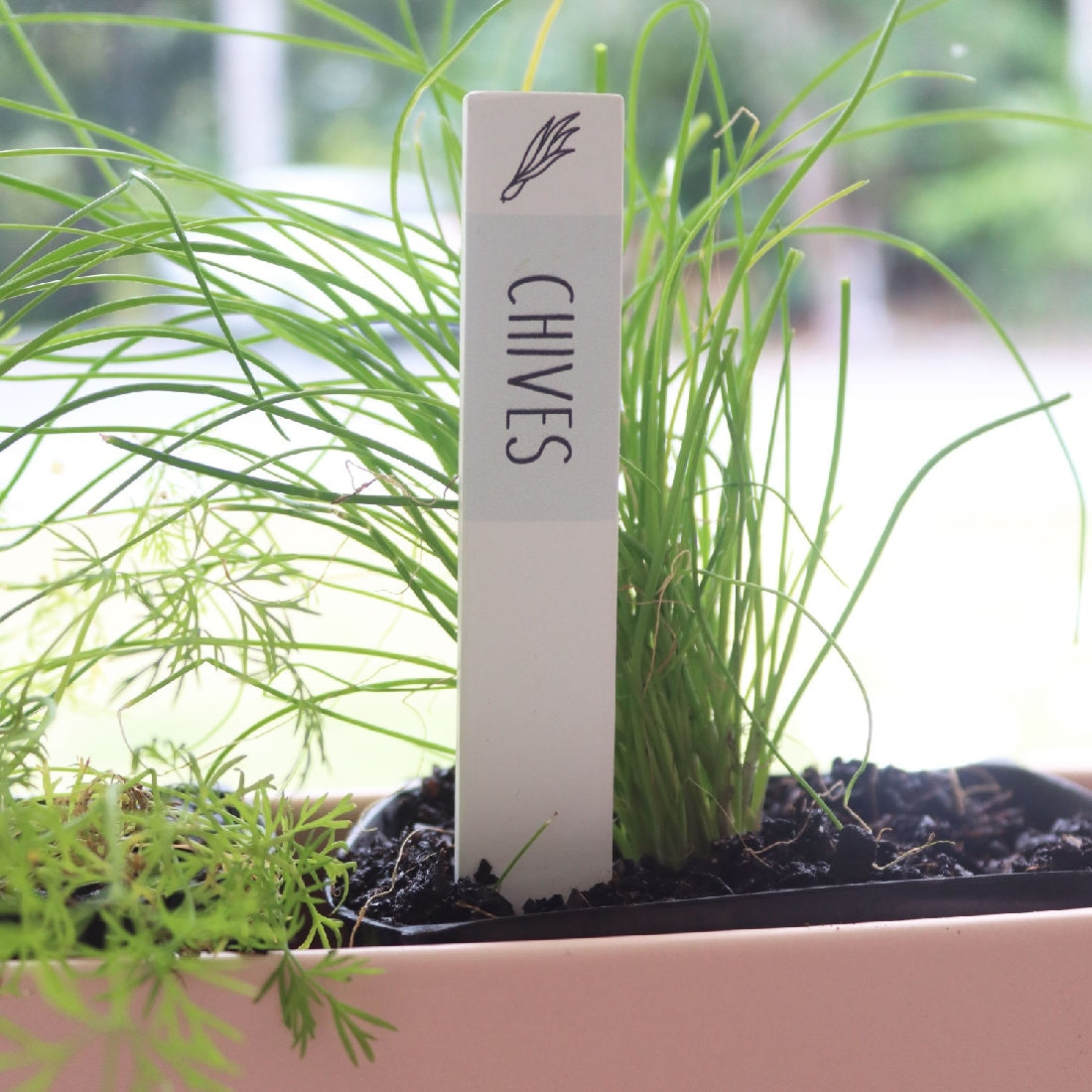 HOME GROWN CHIVES HERB LABEL