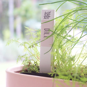 HOME GROWN DILL HERB LABEL