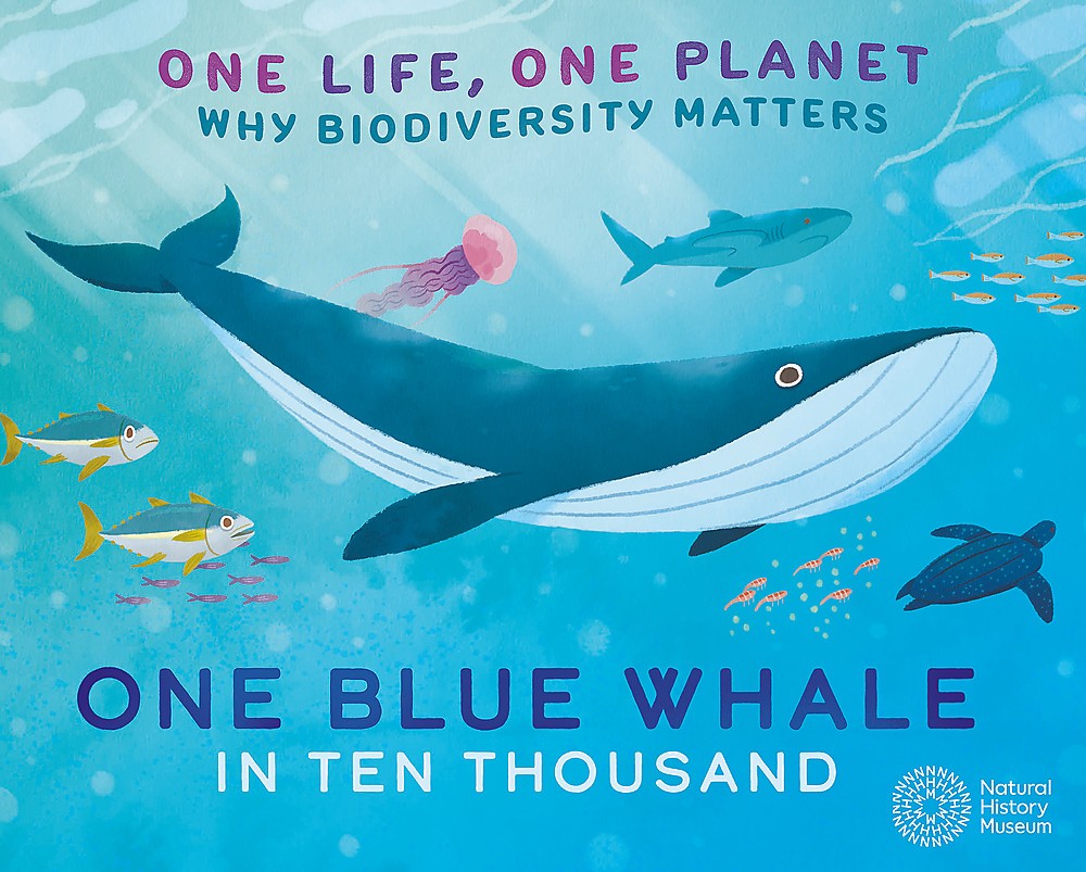 ONE LIFE ONE PLANET - ONE BLUE WHALE IN TEN THOUSAND