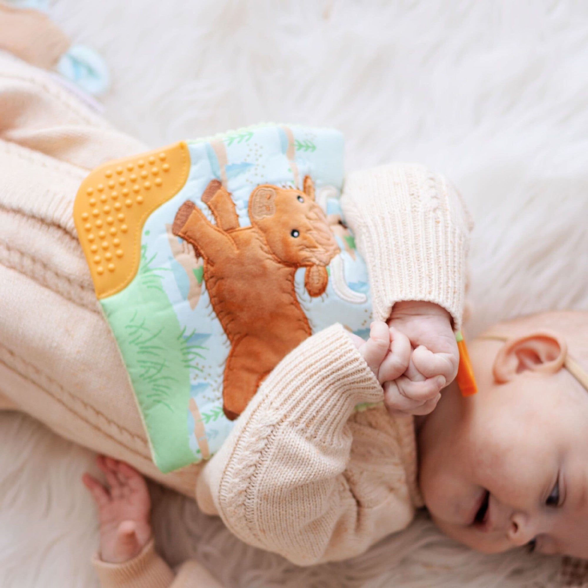 Mary Meyer Hetty Highland Cow Crinkle Teether 