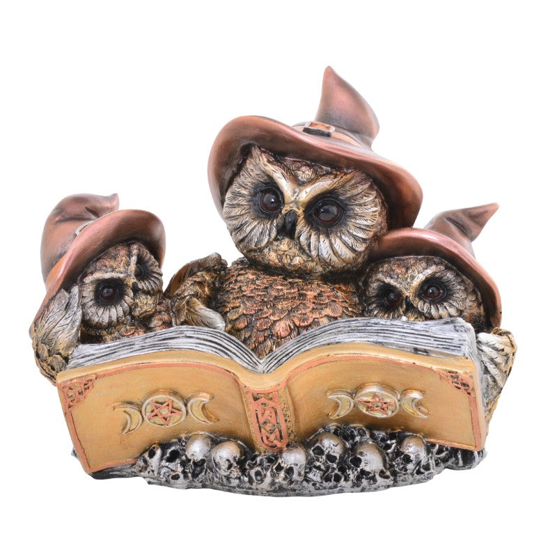 MAGIC & MYSTIC OWL TRIO