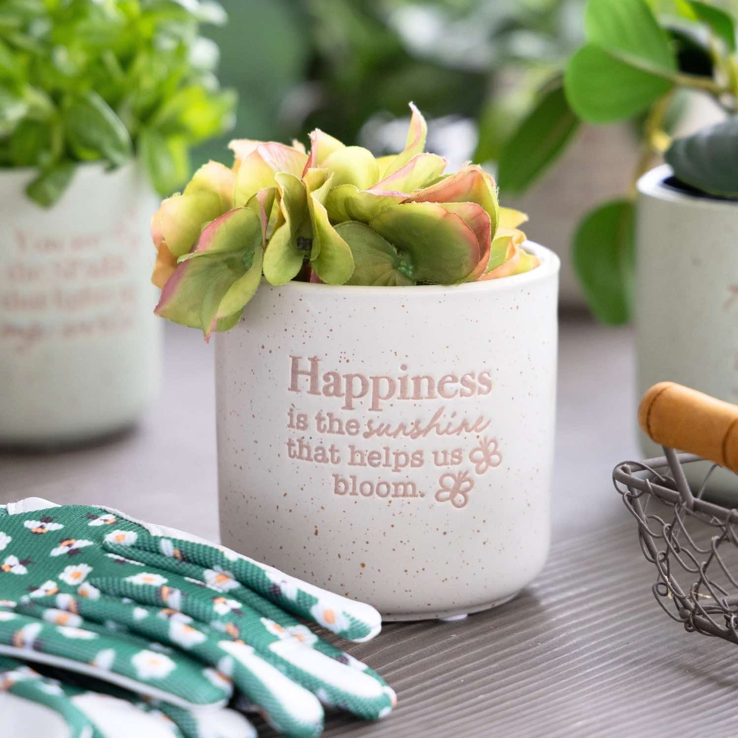 Happiness Positive Pot