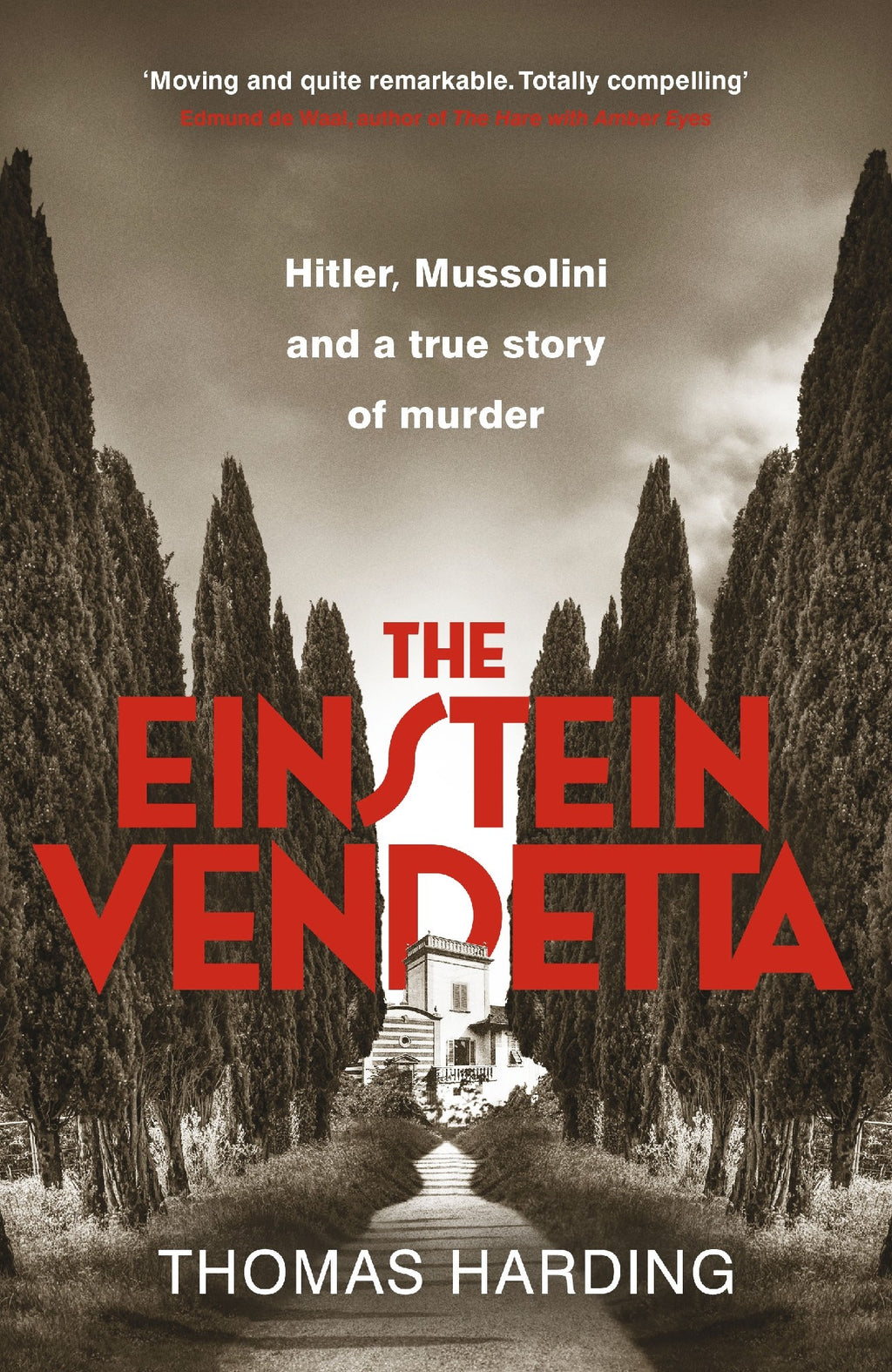 THE EINSTEIN VENDETTA