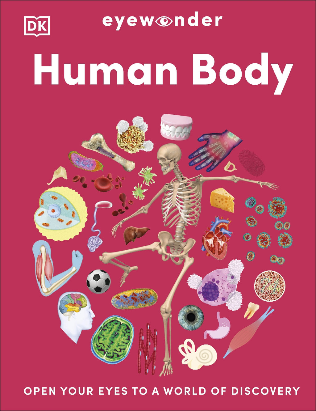 HUMAN BODY: EYEWONDER