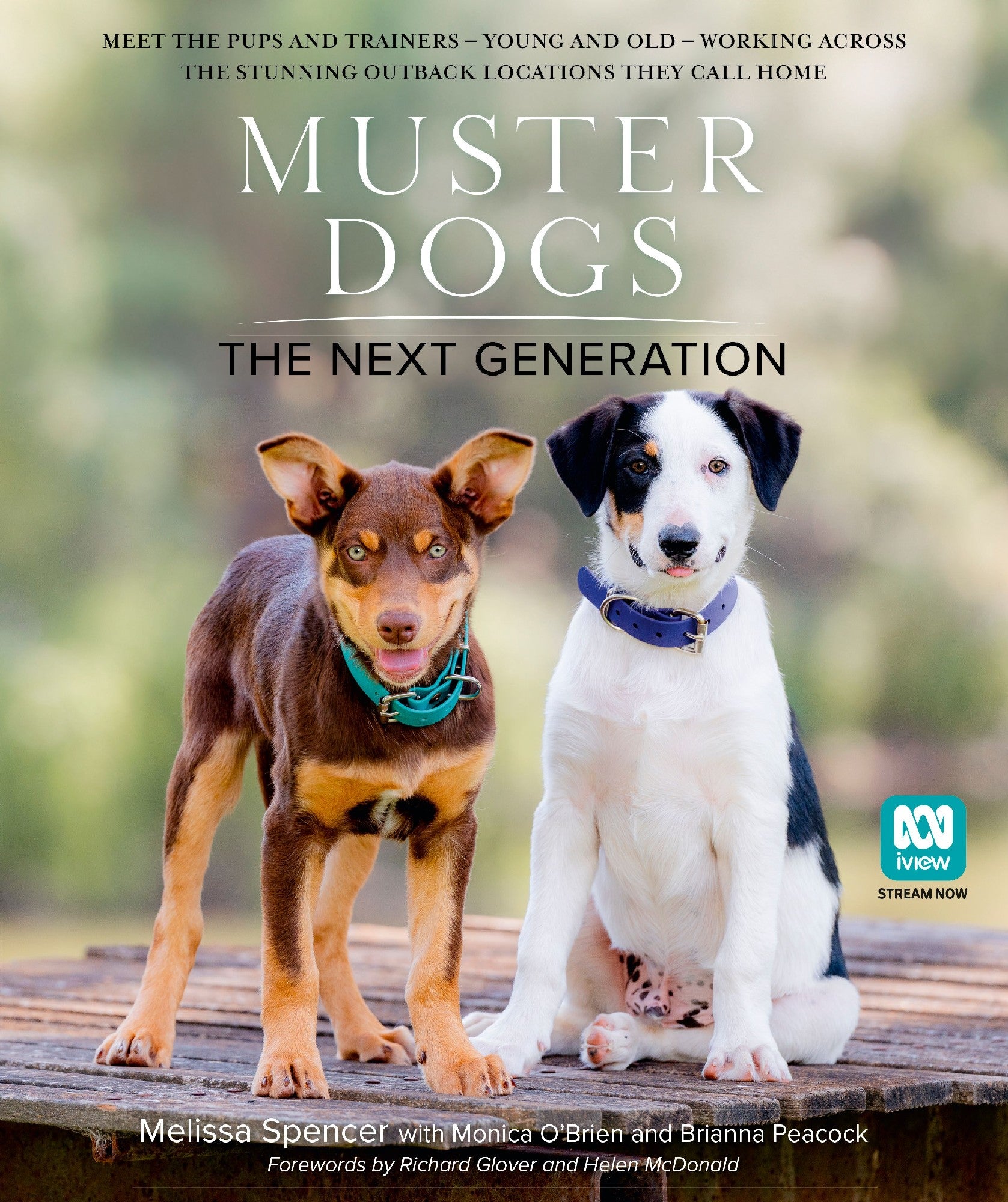 MUSTER DOGS: THE NEXT GENERATION 