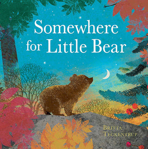 SOMEWHERE  FOR LITTLE BEAR