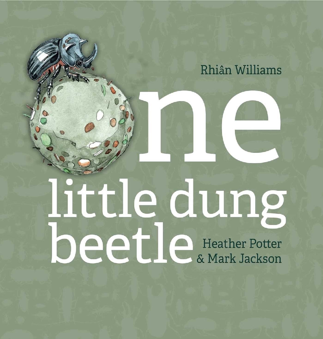 ONE LITTLE DUNG BEETLE