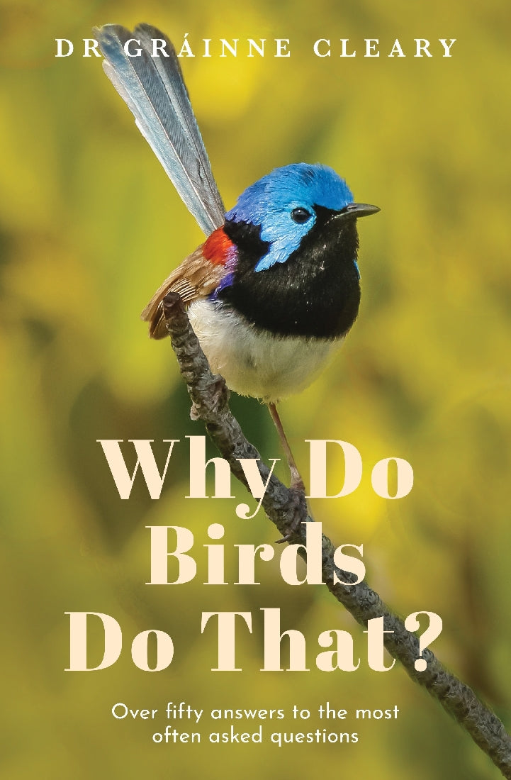 WHY DO BIRDS DO THAT?