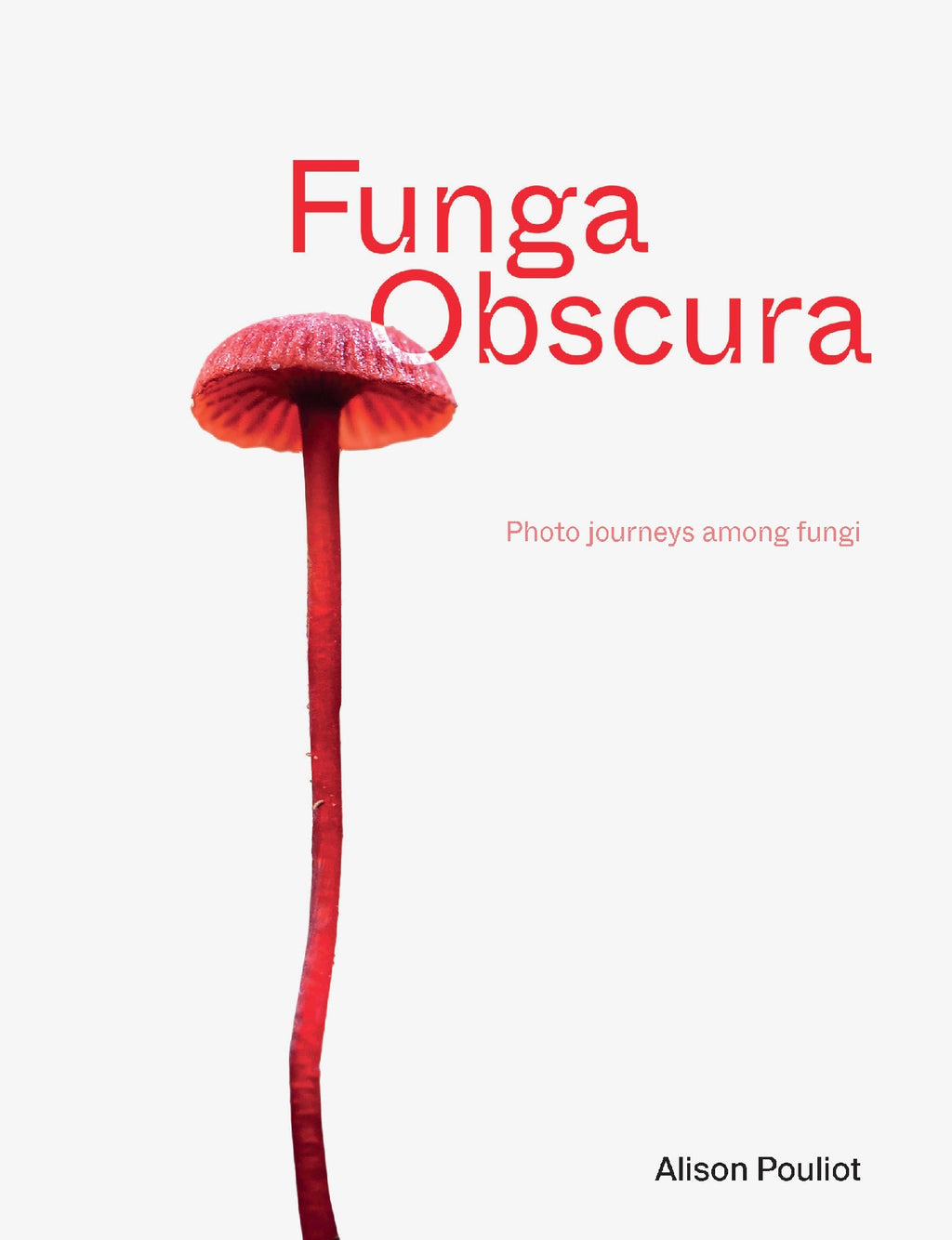 FUNGA OBSCURA