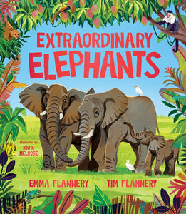 EXTRAORDINARY ELEPHANTS