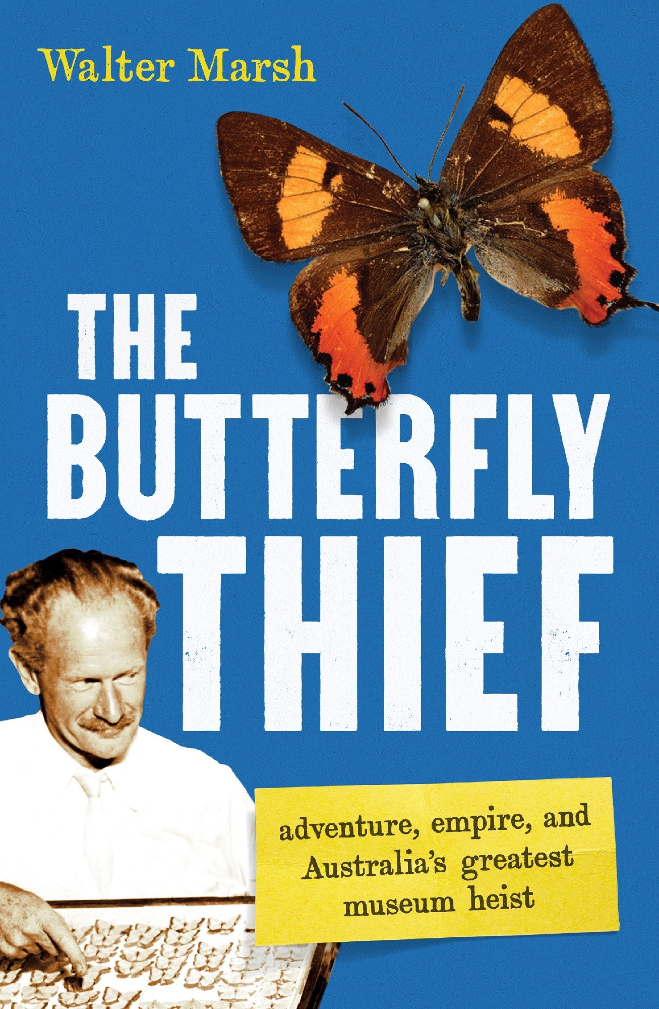 THE BUTTERFLY THIEF