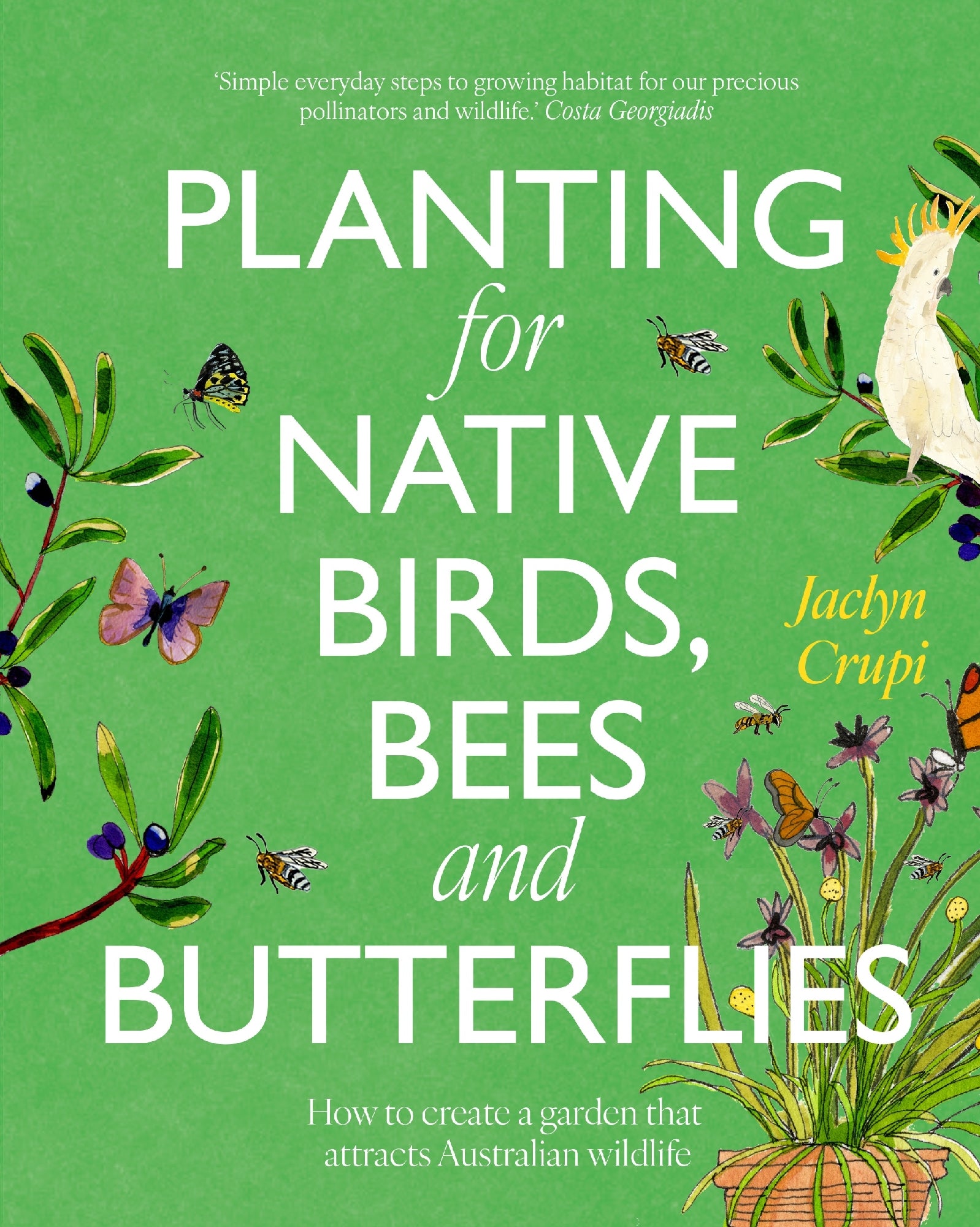 PLANTING FOR NATIVE BIRDS, BEES AND BUTTERFLIES