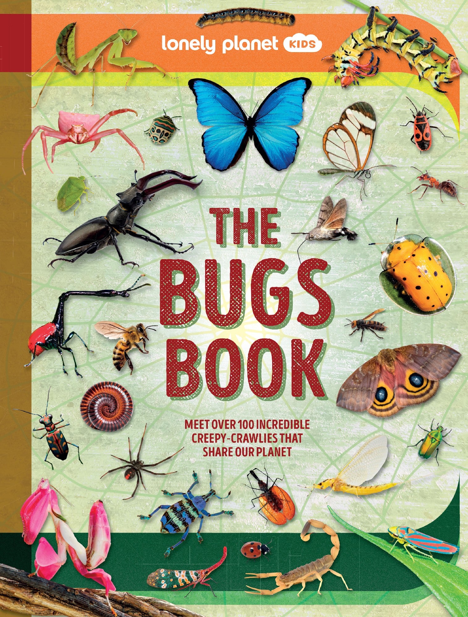 THE BUGS BOOK