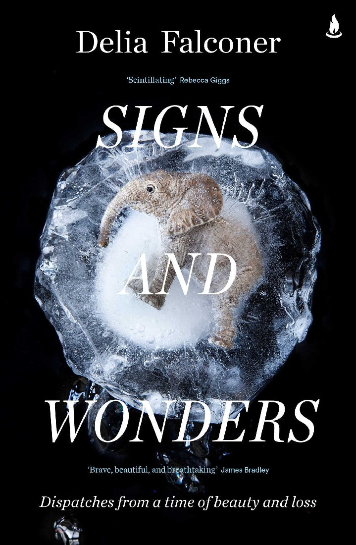 SIGNS AND WONDERS