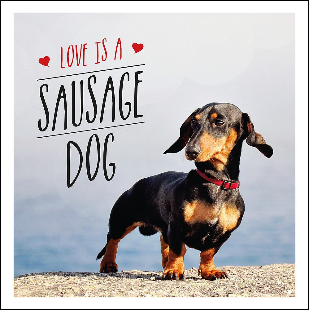 LOVE IS A SAUSAGE DOG